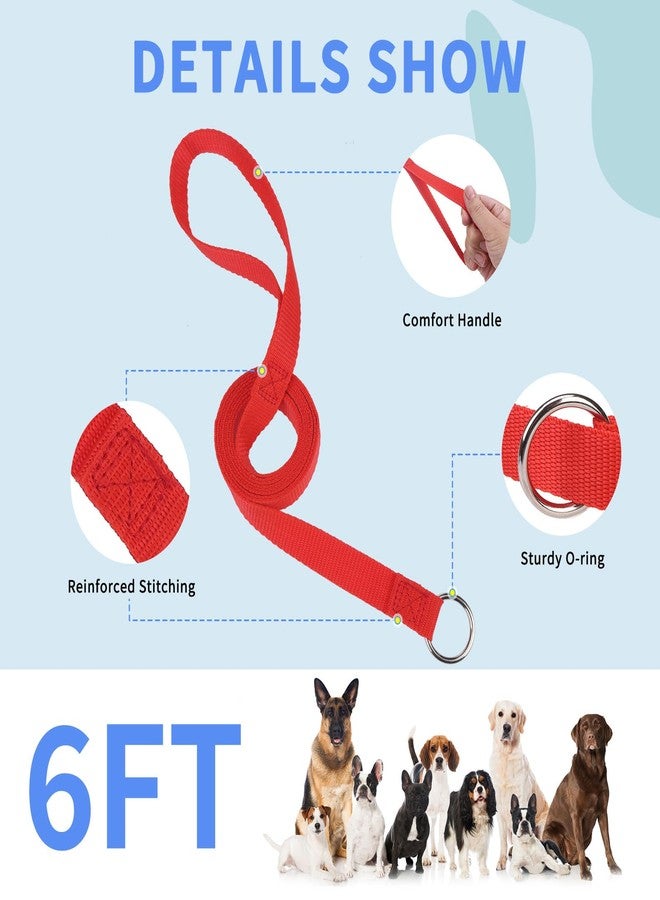 HOMIMP Slip Lead Dog Leash 6 FT- 24 PCS Bulk Colors Kennel Control Leashes for Small Medium Large Dogs Puppy Animal Rescue, Grooming - Heavy Duty Strong Nylon 6 Foot Long for Shelter, Vet, Training - Image 3